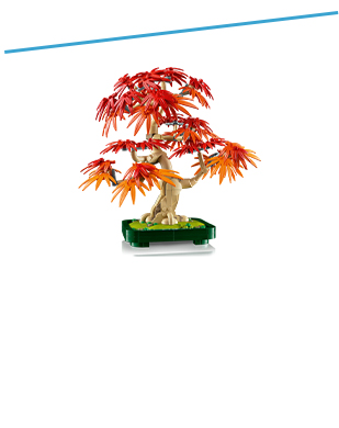 GERIAUSI LEGO® SUAUGUSIEMS